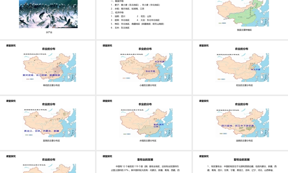 八年级地理上册 4.1 农业课件 （新版）粤教版-（新版）粤教版初中八年级上册地理课件