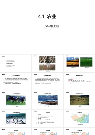 八年级地理上册 4.1 农业课件 （新版）粤教版-（新版）粤教版初中八年级上册地理课件