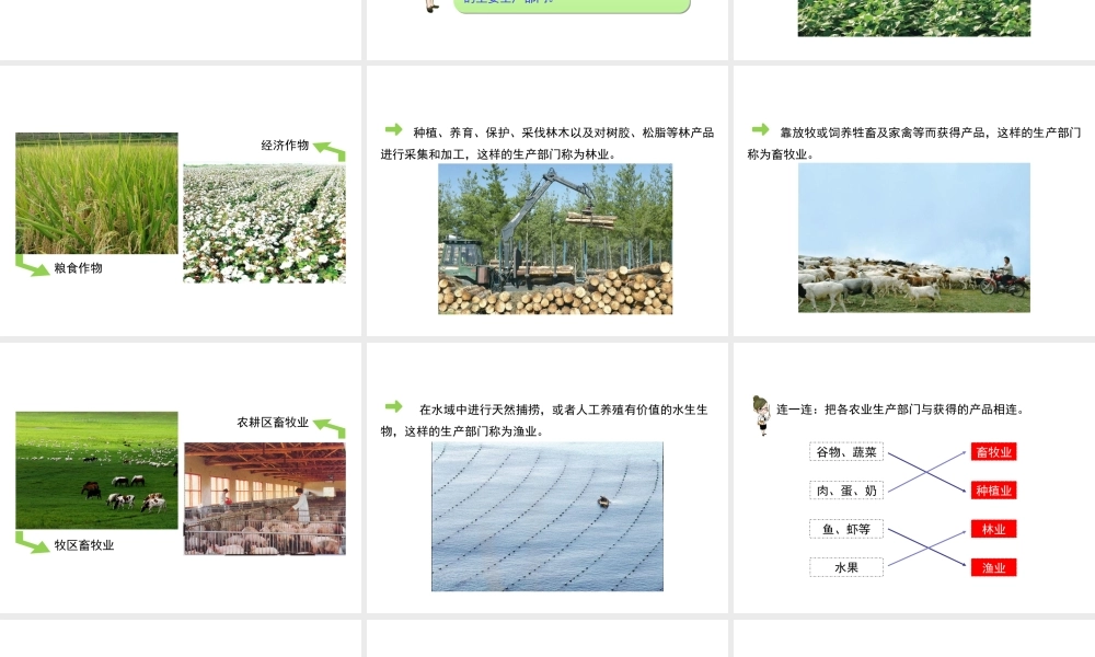 八年级地理上册 4.1 稳步增长的农业（第1课时）课件 晋教版-人教版初中八年级上册地理课件