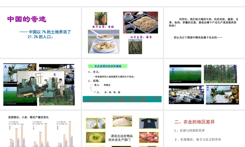 八年级地理上册 4.1 稳步增长的农业课件 晋教版-人教版初中八年级上册地理课件