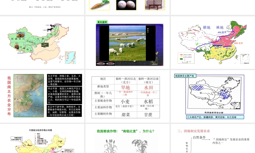 八年级地理上册 4.1 稳步增长的农业课件 晋教版-人教版初中八年级上册地理课件