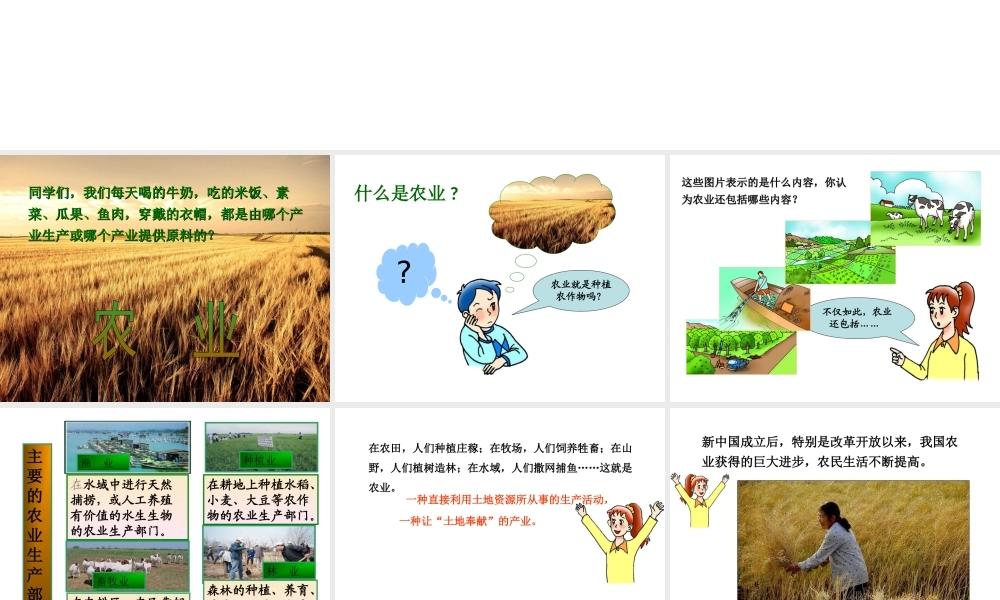 八年级地理上册 4.1 稳步增长的农业课件（1） 晋教版-人教版初中八年级上册地理课件