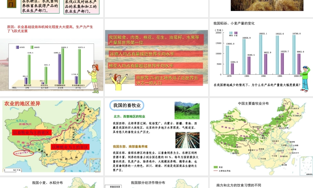 八年级地理上册 4.1 稳步增长的农业课件（1） 晋教版-人教版初中八年级上册地理课件