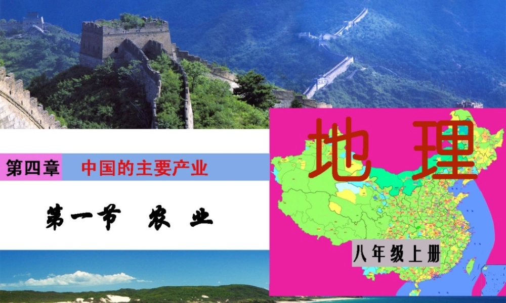 八年级地理上册 4.1《农业》课件1 （新版）湘教版-（新版）湘教版初中八年级上册地理课件