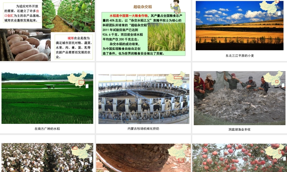 八年级地理上册 4.1《农业》课件1 （新版）湘教版-（新版）湘教版初中八年级上册地理课件