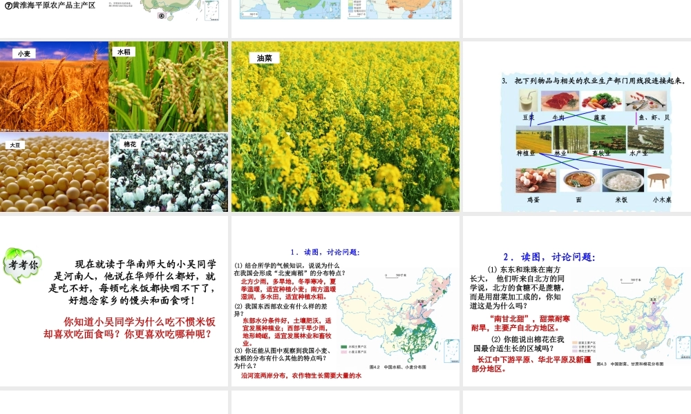 八年级地理上册 4.1农业课件 （新版）粤教版-（新版）粤教版初中八年级上册地理课件