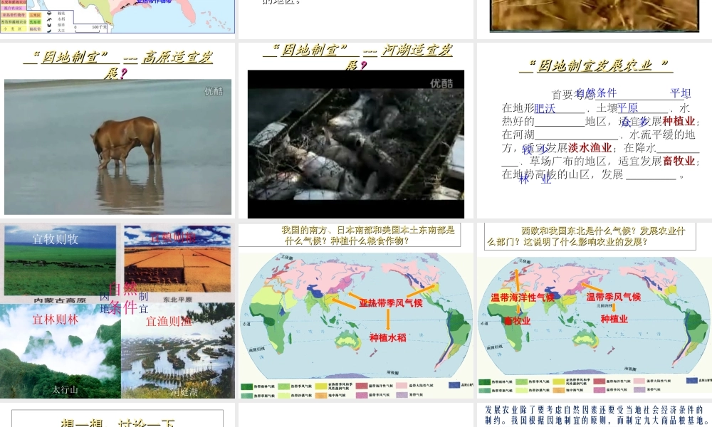 八年级地理上册 第4章第1节因地制宜发展农业（第2时）课件 （新版）商务星球版