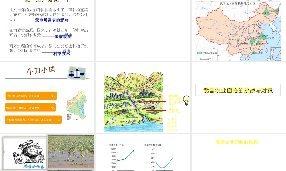 八年级地理上册 第4章第1节因地制宜发展农业（第2时）课件 （新版）商务星球版