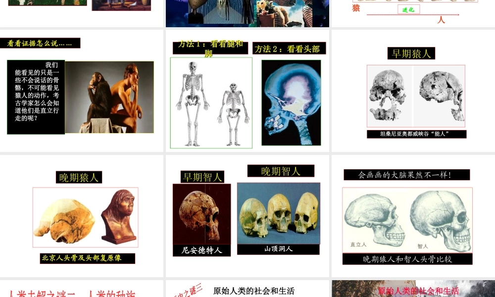 八年级历史下册 第四单元 第16课 当人类还是野蛮人的时候课件2 北师大版-北师大级下册历史课件