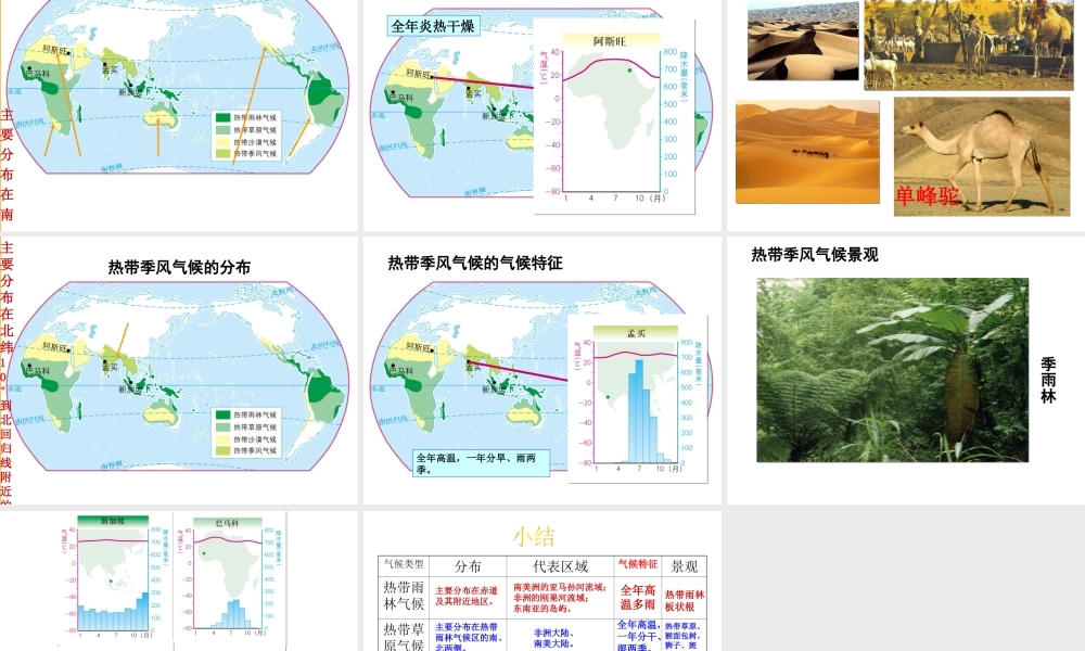 八年级地理上册 2.2 世界的气候类型（第2课时）课件 （新版）中图版