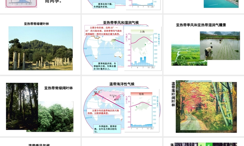 八年级地理上册 2.2 世界的气候类型复习课件（1）（新版）中图版-（新版）中图版初中八年级上册地理课件