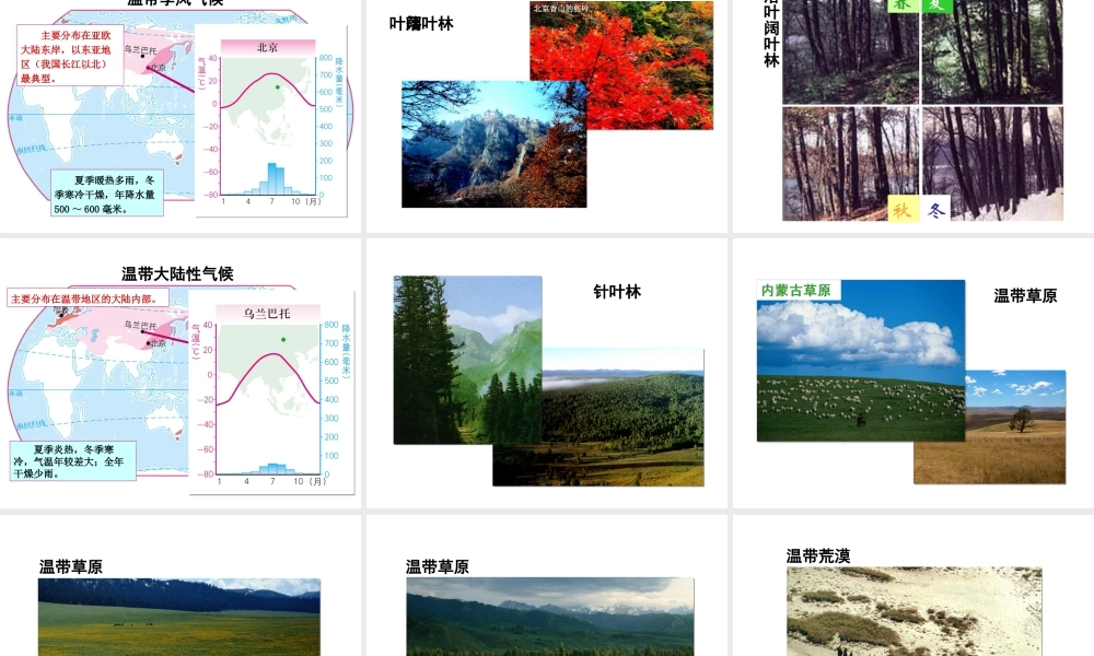 八年级地理上册 2.2 世界的气候类型复习课件（1）（新版）中图版-（新版）中图版初中八年级上册地理课件