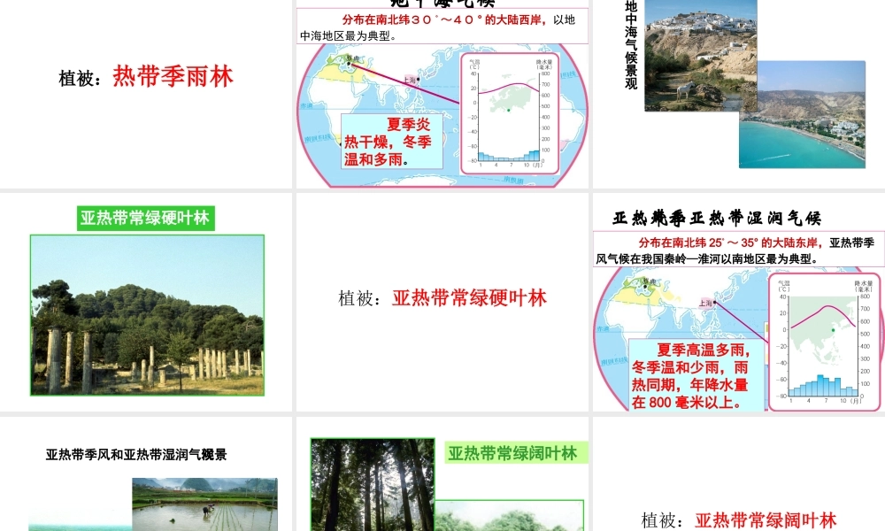 八年级地理上册 2.2 世界的气候类型复习课件（2）（新版）中图版-（新版）中图版初中八年级上册地理课件