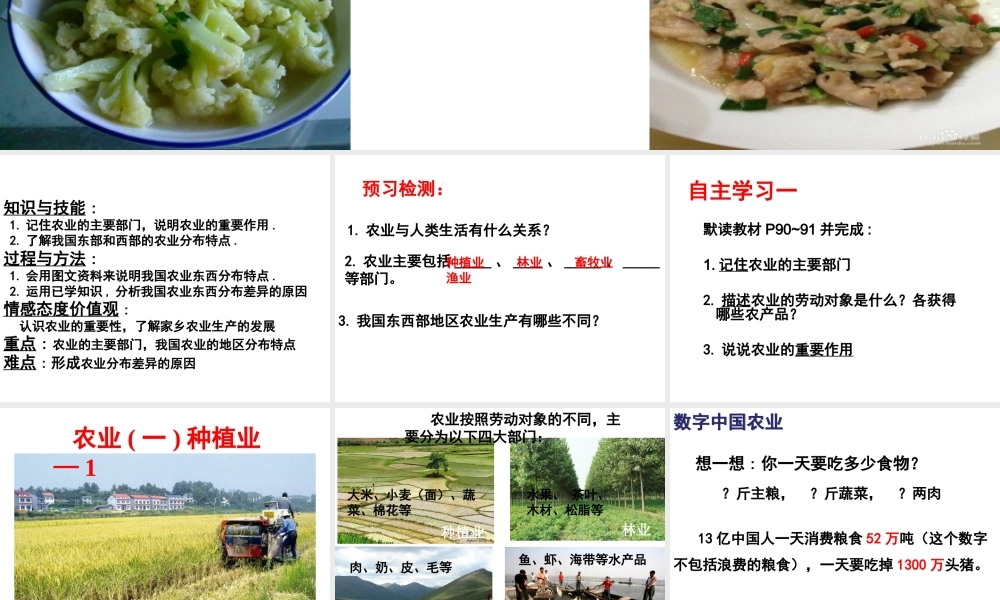 八年级地理上册 4.2 农业课件 新人教版-新人教版初中八年级上册地理课件