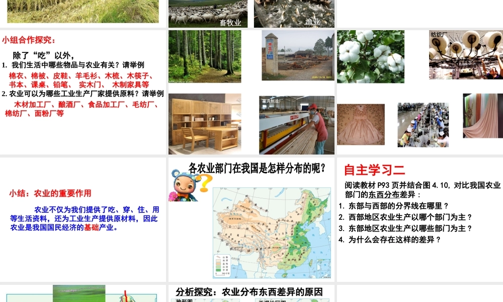 八年级地理上册 4.2 农业课件 新人教版-新人教版初中八年级上册地理课件
