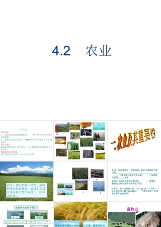 八年级地理上册 4.2 农业课件（1）（新版）新人教版-（新版）新人教版初中八年级上册地理课件