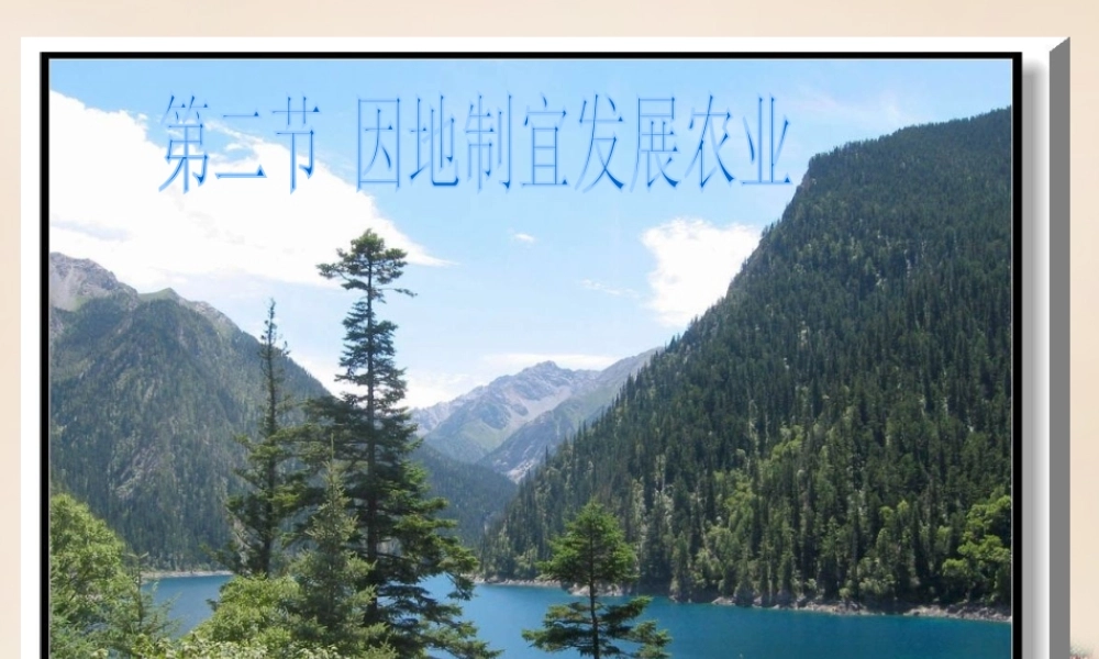 八年级地理上册 4.2 农业课件（3）（新版）新人教版-（新版）新人教版初中八年级上册地理课件