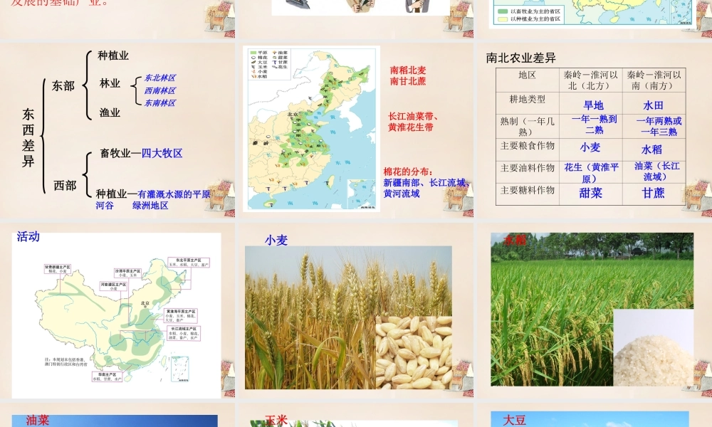 八年级地理上册 4.2 农业课件（3）（新版）新人教版-（新版）新人教版初中八年级上册地理课件