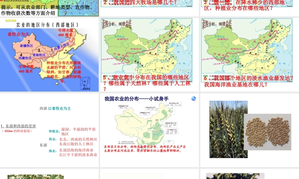 八年级地理上册 4.2 农业课件1 （新版）新人教版-（新版）新人教版初中八年级上册地理课件