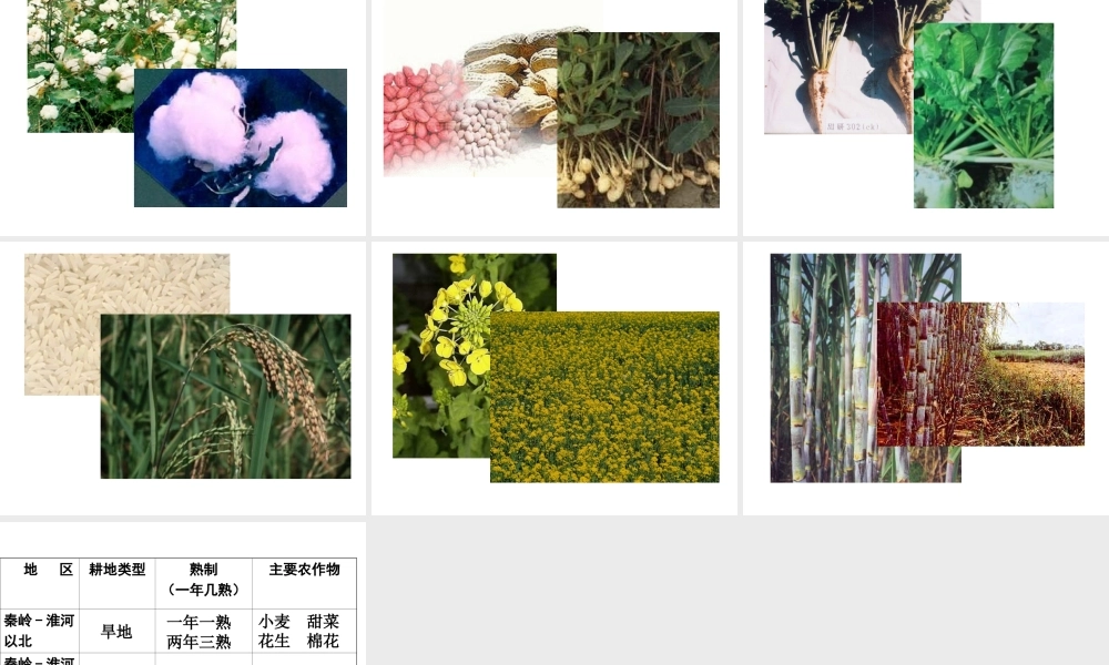 八年级地理上册 4.2 农业课件1 （新版）新人教版-（新版）新人教版初中八年级上册地理课件