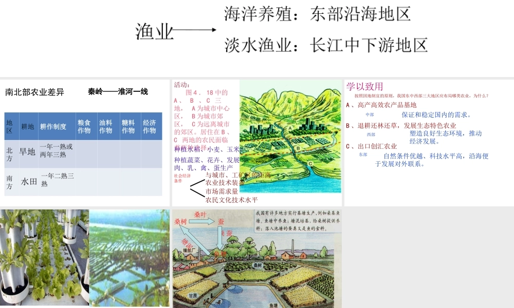 八年级地理上册 4.2 农业课件2 （新版）新人教版-（新版）新人教版初中八年级上册地理课件