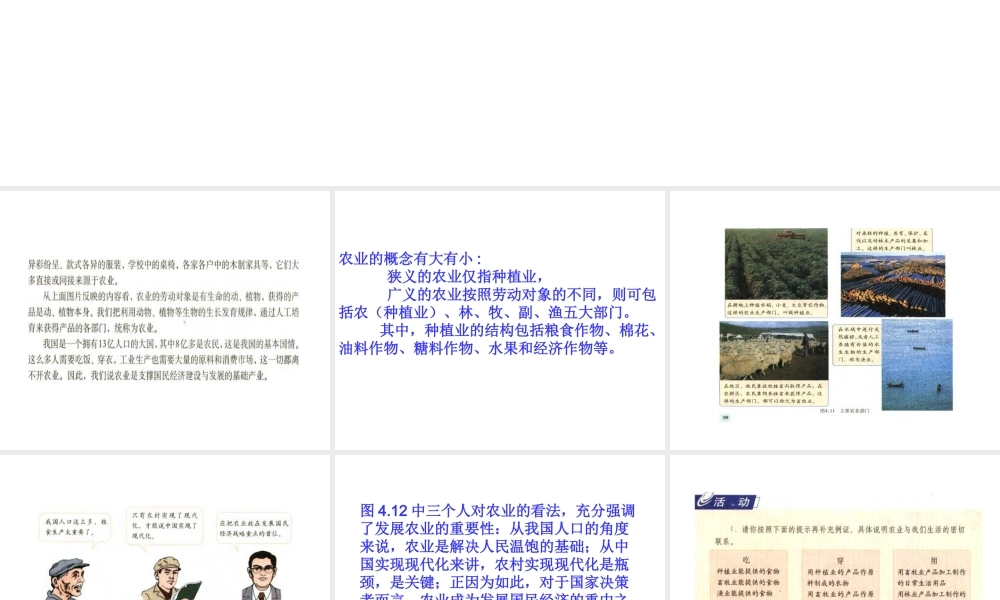 八年级地理上册 4.2 因地制宜发展农业课件 （新版）新人教版-（新版）新人教版初中八年级上册地理课件