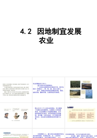 八年级地理上册 4.2 因地制宜发展农业课件 （新版）新人教版-（新版）新人教版初中八年级上册地理课件