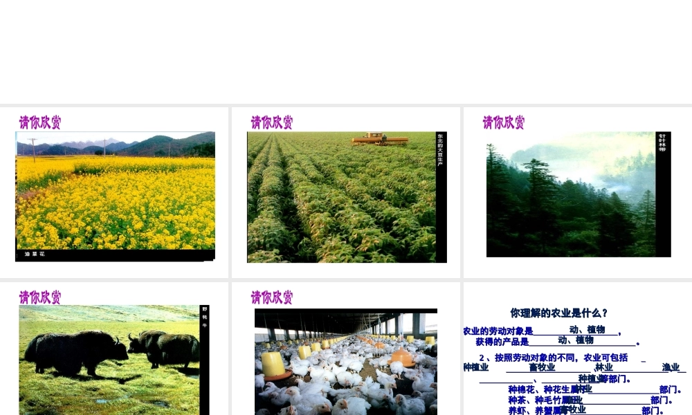八年级地理上册 4.2 因地制宜发展农业课件 新人教版-新人教版初中八年级上册地理课件