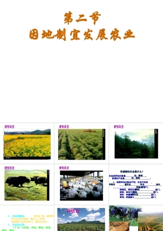 八年级地理上册 4.2 因地制宜发展农业课件 新人教版-新人教版初中八年级上册地理课件