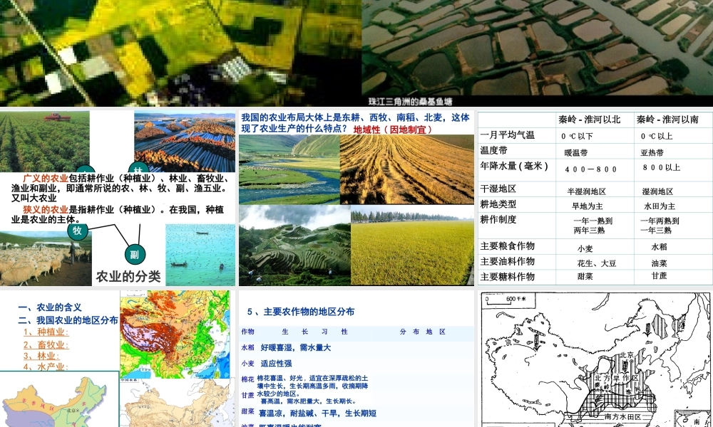 八年级地理上册 4.2 中国农业的地区分布课件 （新版）新人教版-（新版）新人教版初中八年级上册地理课件