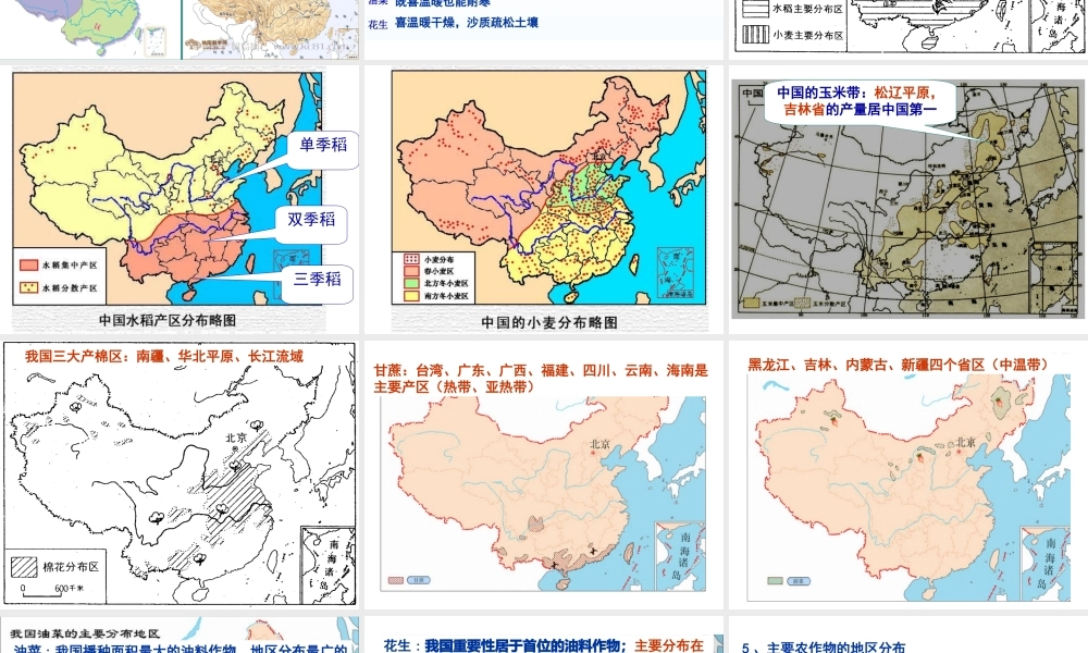 八年级地理上册 4.2 中国农业的地区分布课件 （新版）新人教版-（新版）新人教版初中八年级上册地理课件