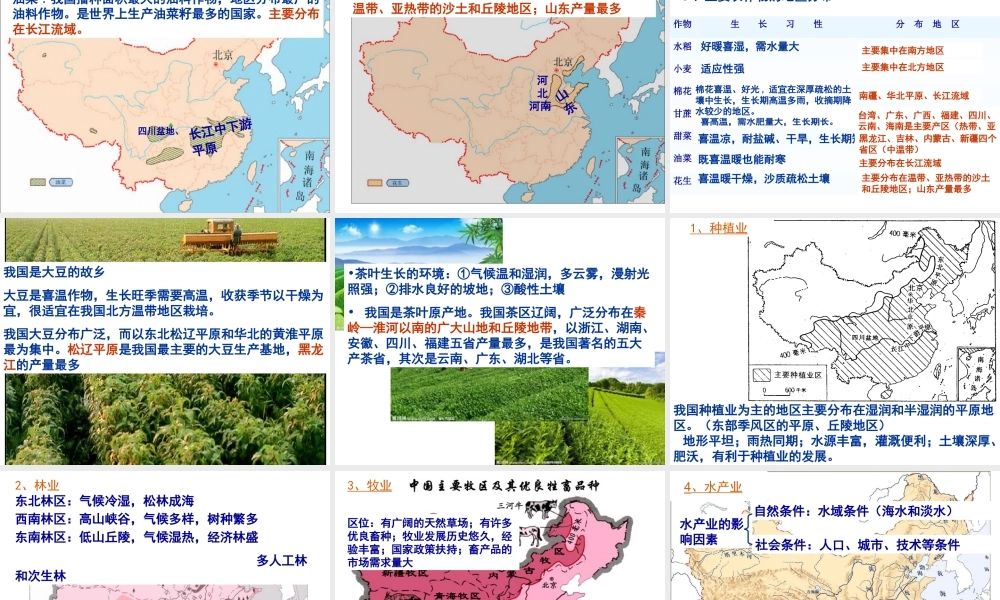 八年级地理上册 4.2 中国农业的地区分布课件 （新版）新人教版-（新版）新人教版初中八年级上册地理课件