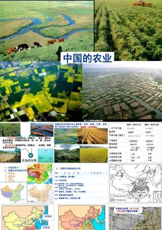 八年级地理上册 4.2 中国农业的地区分布课件 （新版）新人教版-（新版）新人教版初中八年级上册地理课件