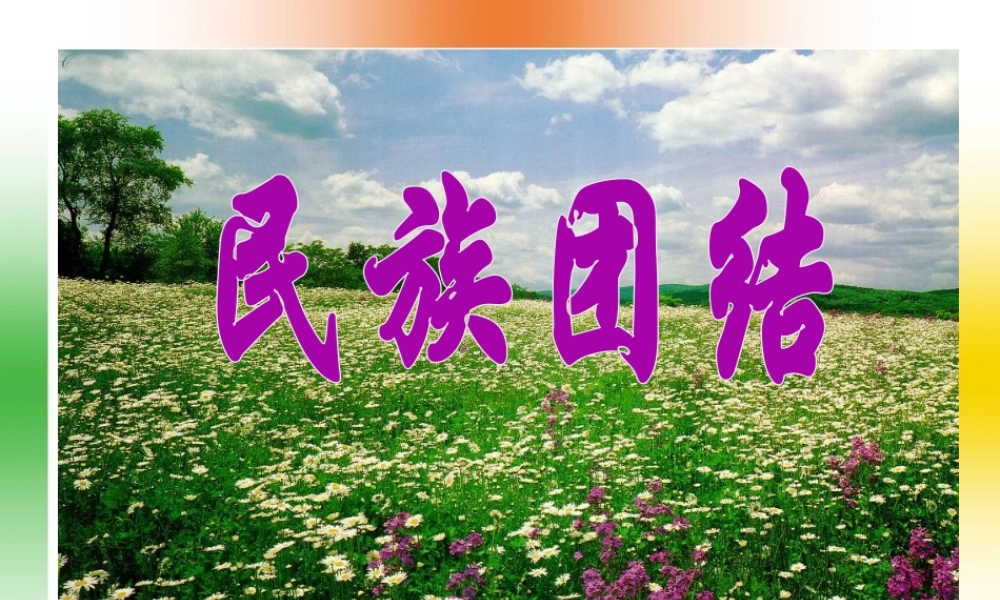 八年级历史下册11课 民族团结人教版