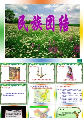 八年级历史下册11课 民族团结人教版