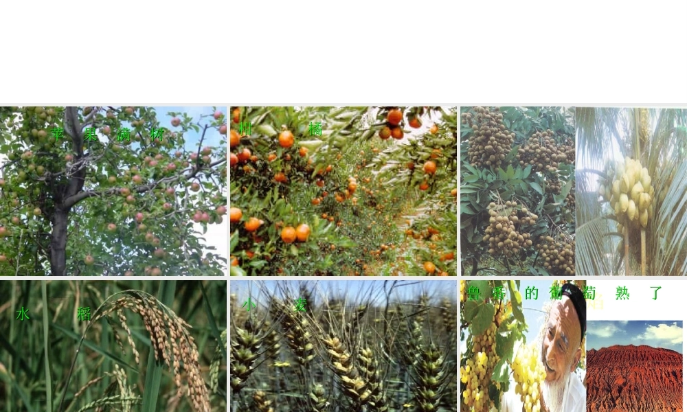 八年级地理上册 2.2 中国的气候课件 （新版）湘教版-人教版初中八年级全册地理课件