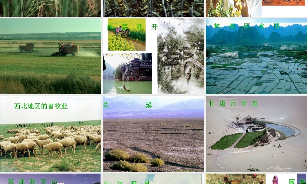 八年级地理上册 2.2 中国的气候课件 （新版）湘教版-人教版初中八年级全册地理课件