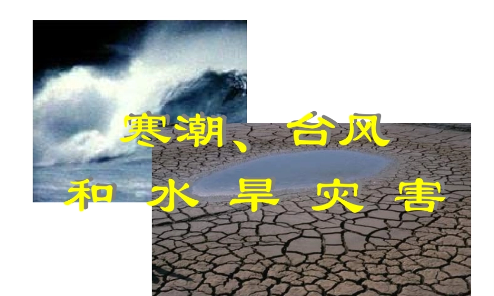 八年级地理上册 2.2中国的气候课件 （新版）湘教版-（新版）湘教版初中八年级上册地理课件