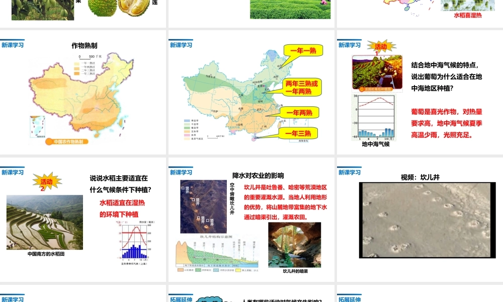 八年级地理上册 2.3《气候与人类活动》课件2 中图版-中图版初中八年级上册地理课件