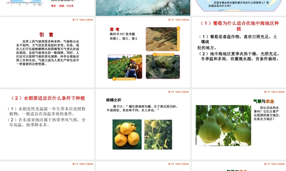 八年级地理上册 2.3《气候与人类活动》课件4 中图版-中图版初中八年级上册地理课件