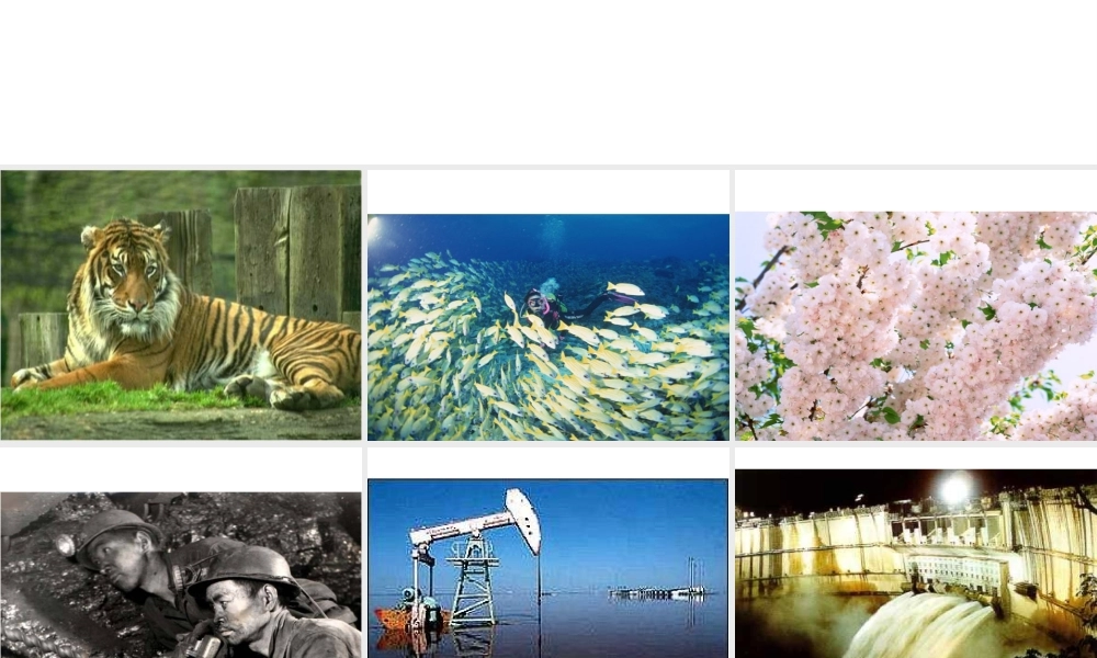 八年级地理上册 3.1 中国的自然资源课件 （新版）湘教版-（新版）湘教版初中八年级上册地理课件