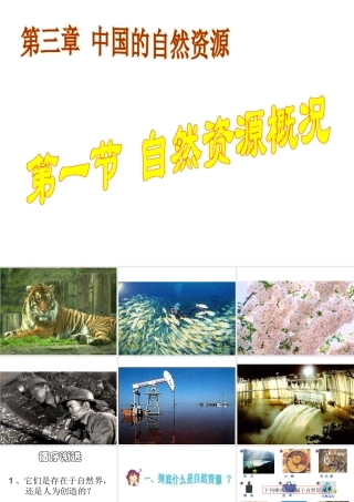 八年级地理上册 3.1 中国的自然资源课件 （新版）湘教版-（新版）湘教版初中八年级上册地理课件