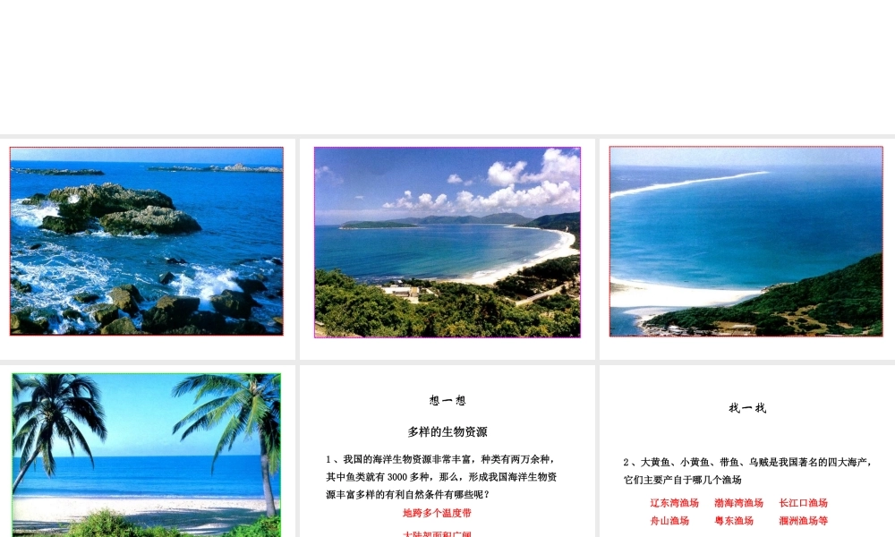 八年级地理上册 第四节 中国的海洋资源课件 湘教版