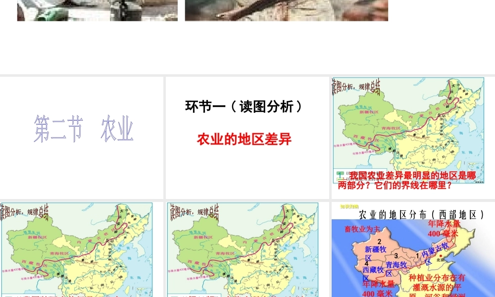 八年级地理上册 第三章 第二节 农业课件 （新版）新人教版-（新版）新人教版初中八年级上册地理课件