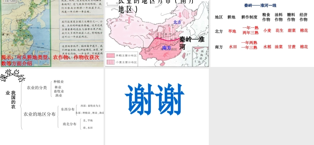 八年级地理上册 第三章 第二节 农业课件 （新版）新人教版-（新版）新人教版初中八年级上册地理课件