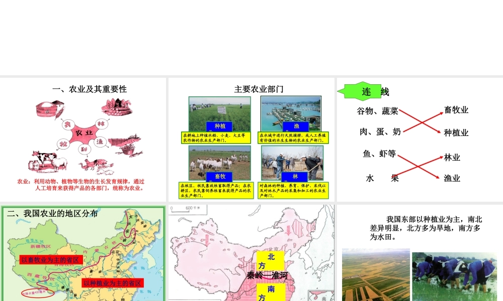 八年级地理上册 第四章 第二节《农业》课件1 （新版）新人教版-（新版）新人教版初中八年级上册地理课件