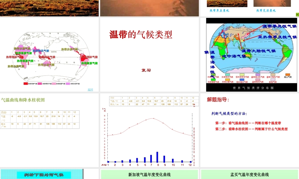 八年级地理上册 第二章 第二节 世界气候类型课件5 中图版-中图版初中八年级上册地理课件