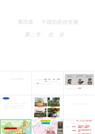 八年级地理上册 第四章 第二节《农业》课件2  （新版）新人教版-（新版）新人教版初中八年级上册地理课件