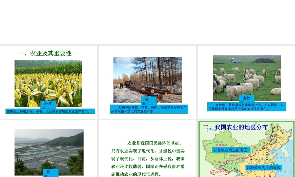 八年级地理上册 第四章 第二节《农业》课件3 （新版）新人教版-（新版）新人教版初中八年级上册地理课件
