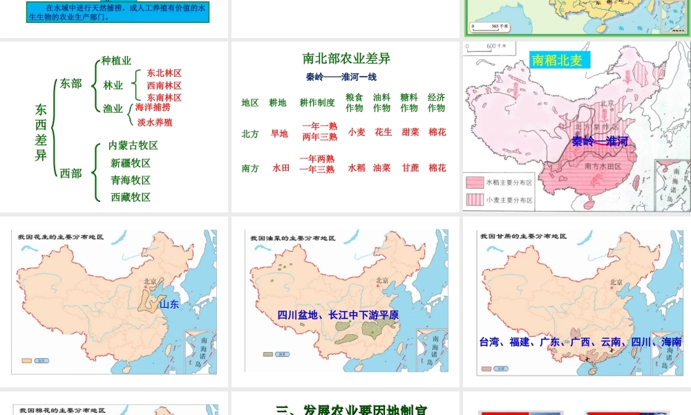 八年级地理上册 第四章 第二节《农业》课件3 （新版）新人教版-（新版）新人教版初中八年级上册地理课件